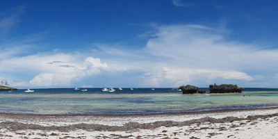 Ocean Sports Resort - Photo 4