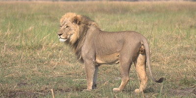 Okavango delta adventure trip - Photo 1