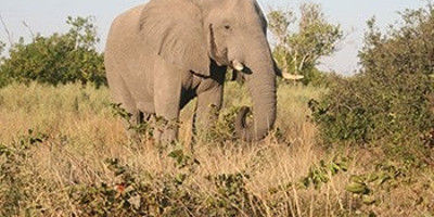 Okavango delta adventure trip - Photo 3