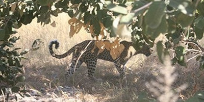 Okavango delta adventure trip - Photo 4