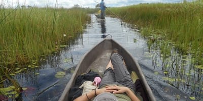 Okavango Delta and Chobe Safaris (8 days) - Photo 1