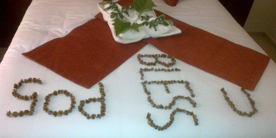 Okavango Roadside Guesthouse - Photo 3