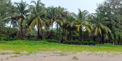 Oudja hôtel - Photo 11