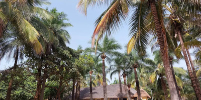 Oudja hôtel - Photo 9