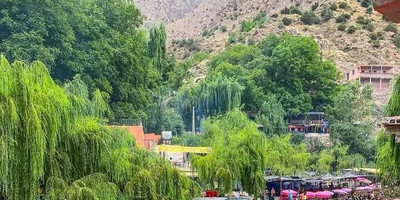 Ourika valley day trip from marrakech - Photo 4