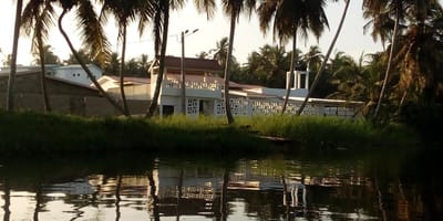 Palm Lodge - Photo 1