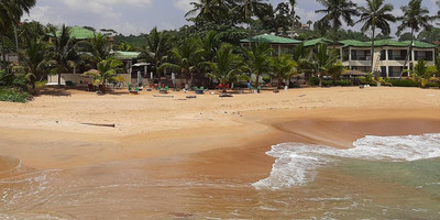 Palm rock beach - Photo 3