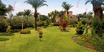 Palmeraie resorts - Photo 4