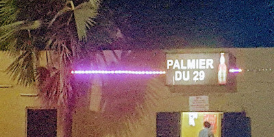 Palmier du 29 - Photo 2