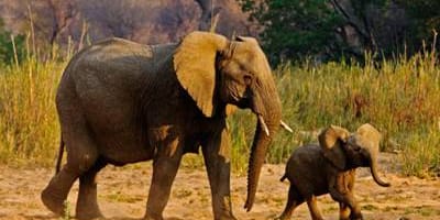 Papagei tours and safaris - Photo 3
