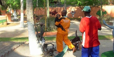 Parc Animalier Dipi - Photo 1