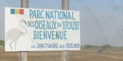 parc-national-des-oiseaux-de-djoudj.jpg