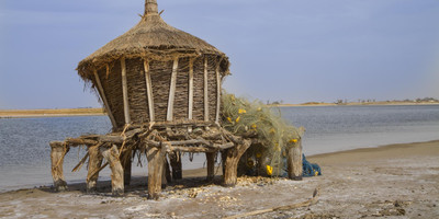 Parc national du delta du Saloum - Photo 3