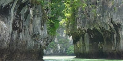 Parc National Tai - Photo 2