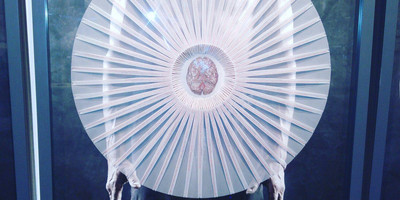 Pretoria Art Museum - Photo 3