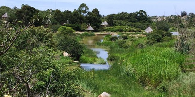 Pululukwa - Photo 3