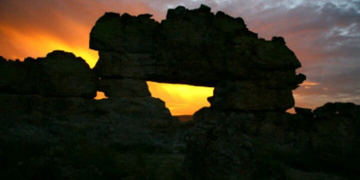 Rainforests to canyons tour - Photo 1