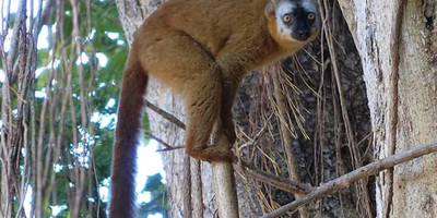 Rainforests to canyons tour - Photo 2