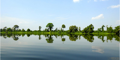 Rencontre avec les hippos de taboitien - Photo 3