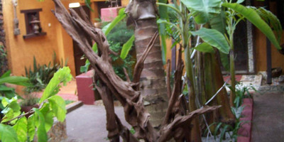 Residence Mamikan - Photo 1