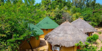 Restaurant et hébergement au campement les baobabs - Photo 31