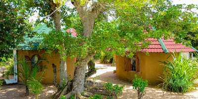 Restaurant et hébergement au campement les baobabs - Photo 8