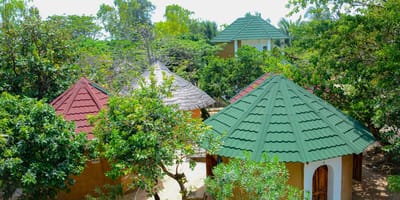 Restaurant et hébergement au campement les baobabs - Photo 10