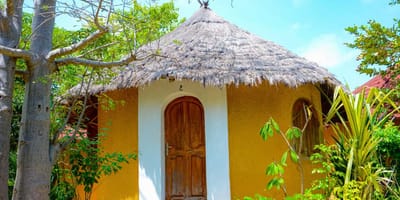 Restaurant et hébergement au campement les baobabs - Photo 6