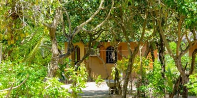 Restaurant et hébergement au campement les baobabs - Photo 4