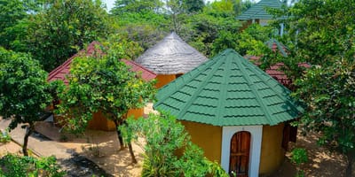 Restaurant et hébergement au campement les baobabs - Photo 5