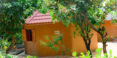Restaurant et hébergement au campement les baobabs - Photo 17