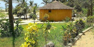 Restaurant et hébergement au campement les baobabs - Photo 59