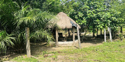 Restobrousse Toumodi - Photo 1