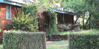 Roberts' Camp - Photo 5