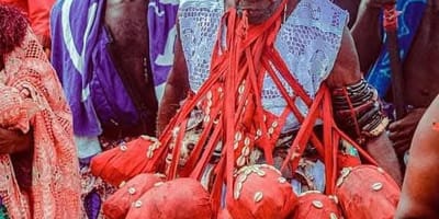 Safari and voodoo tour experience - Photo 2