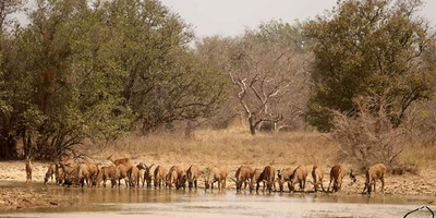 Deux jours de safari au bénin - Photo 6