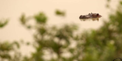 Deux jours de safari au bénin - Photo 1