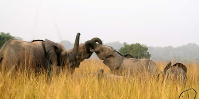 Deux jours de safari au bénin - Photo 3