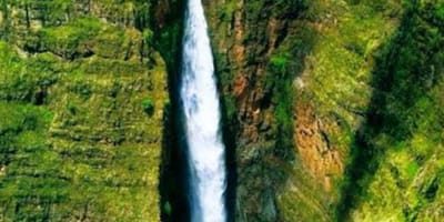 4 days simien mountain wildlife and safari tour - Photo 12