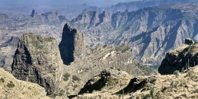 4 days simien mountain wildlife and safari tour - Photo 5