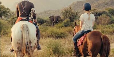 Samburu luxury safari - Photo 4