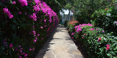 Sandies Tropical Village - Photo 5