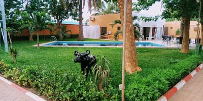 Sarada Lodge - Photo 1