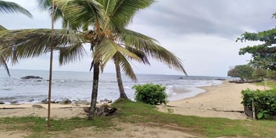 Séjour signature kribi - Photo 3