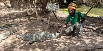 Shudyma lodge - Photo 5