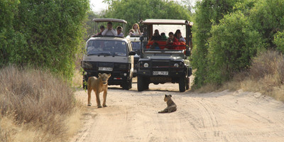 Guided small group kenya adventure wildlife safaris. - Photo 9