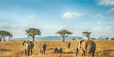 Guided small group kenya adventure wildlife safaris. - Photo 6