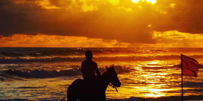 Kame surf camp & school / sunset beach bar - Photo 7