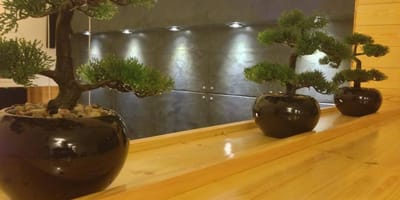 SUSHIIMA - Photo 6