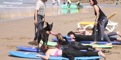Taghazout surf experience: daily lessons with hotel pick-up (agadir/taghazout) - Photo 1